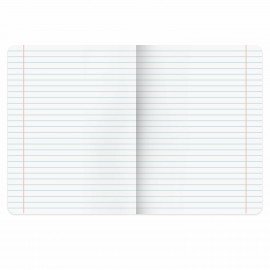 Тетради предметные, КОМПЛЕКТ 5 ПРЕДМЕТОВ, 48л, обложка картон, BRAUBERG, BLACK, 405184