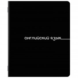 Тетради предметные, КОМПЛЕКТ 5 ПРЕДМЕТОВ, 48л, обложка картон, BRAUBERG, BLACK, 405184