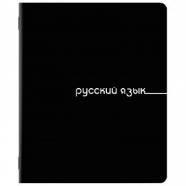 Тетради предметные, КОМПЛЕКТ 5 ПРЕДМЕТОВ, 48л, обложка картон, BRAUBERG, BLACK, 405184