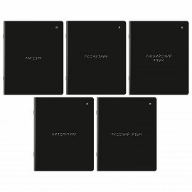 Тетради предметные, КОМПЛЕКТ 5 ПРЕДМЕТОВ, 48л, матовая ламинация, BRAUBERG, MINIMAL, 405185