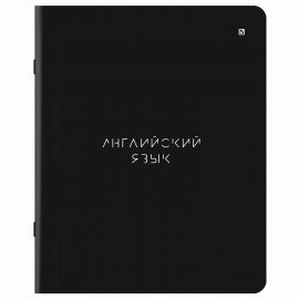 Тетради предметные, КОМПЛЕКТ 5 ПРЕДМЕТОВ, 48л, матовая ламинация, BRAUBERG, MINIMAL, 405185