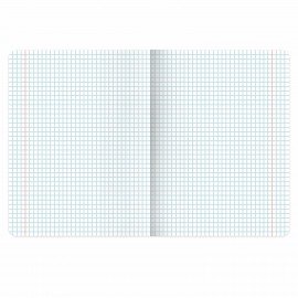 Тетради предметные, КОМПЛЕКТ 5 ПРЕДМЕТОВ, 48л, матовая ламинация, BRAUBERG, MINIMAL, 405185