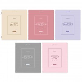Тетради предметные, КОМПЛЕКТ 5 ПРЕДМЕТОВ, 48л, рельефный картон, матовая ламинация, BRAUBERG, CLASSIC, 405186