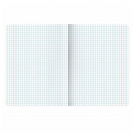 Тетрадь А5 48л. BRAUBERG скоба, клетка, выборочный лак, PASTEL, 405189