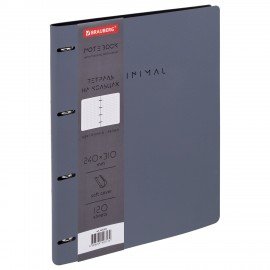 Тетрадь на кольцах БОЛЬШАЯ А4 240х310 120л, под кожу, BRAUBERG VISTA, Rhythm, 405202