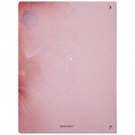 Тетрадь на кольцах БОЛЬШАЯ А4 240х310 120л, под кожу, BRAUBERG VISTA, Пейзаж, 405205