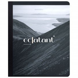 Тетрадь А5 96л. BRAUBERG на сшивке с корешком, клетка, обложка картон, Simplicity, 405288