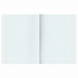 Тетрадь А5, 48 л., BRAUBERG, скоба, клетка, SoftTouch, NoteBookMono, (микс в спайке), 405325