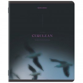 Тетрадь А5, 48 л., BRAUBERG, скоба, клетка, SoftTouch, "Peaceful", (микс в спайке), 405327