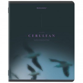 Тетрадь А5, 48 л., BRAUBERG, скоба, клетка, SoftTouch, "Peaceful", (микс в спайке), 405327