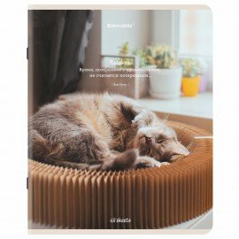 Тетрадь А5, 48 л., BRAUBERG, скоба, клетка, матовая ламинация, "Cats", (микс в спайке), 405334