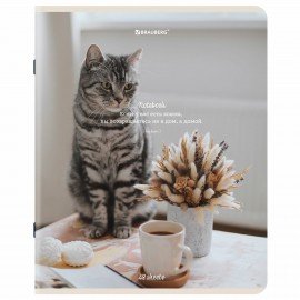 Тетрадь А5, 48 л., BRAUBERG, скоба, клетка, матовая ламинация, "Cats", (микс в спайке), 405334