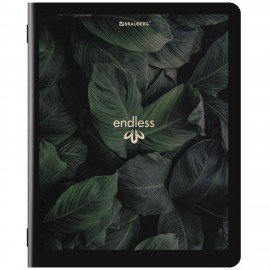 Тетрадь А5, 48 л., BRAUBERG, скоба, клетка, матовая ламинация, "Природа", (микс в спайке), 405337