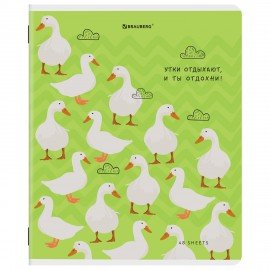 Тетрадь А5, 48 л., BRAUBERG, скоба, клетка, TWIN-лак, "КУРЛЫК И ВСЕ ВСЕ ВСЕ", (микс в ПУ), 405338