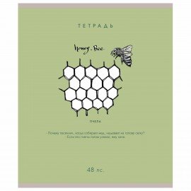 Тетрадь А5 48 л. ПЗБМ, скоба, клетка, матовая ламинация, брайль, "Насекомые шутят" (микс в спайке), 23249