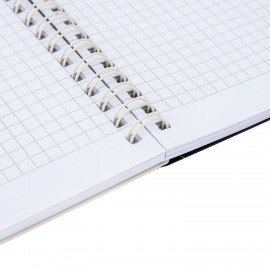 Тетрадь обложка пластик, А4 80л. гребень, 4 съемных разделителя, клетка, BRAUBERG, бежевый, 405362