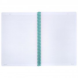 Тетрадь обложка пластик, А4 80л. спираль пластик, резинка, клетка, BRAUBERG, черный/синий, 405381