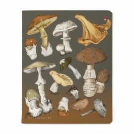 Тетрадь А5 48л. BRUNO VISCONTI скоба, клетка, Soft Touch, фольга, Грибная феерия (5 в, 7-48-1325