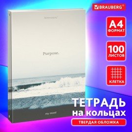 Тетрадь на кольцах БОЛЬШАЯ 210х305мм А4, 100л, обложка картон, клетка, BRAUBERG, Nature, 405411