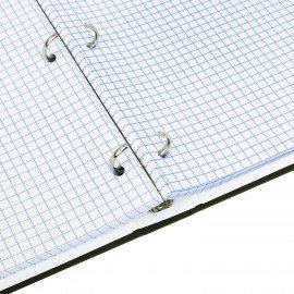 Тетрадь на кольцах БОЛЬШАЯ 210х305мм А4, 100л, обложка картон, клетка, BRAUBERG, Nature, 405411