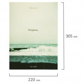 Тетрадь на кольцах БОЛЬШАЯ 210х305мм А4, 100л, обложка картон, клетка, BRAUBERG, Nature, 405411