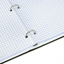 Тетрадь на кольцах БОЛЬШАЯ 210х305мм А4, 100л, обложка картон, клетка, BRAUBERG, Nature, 405411