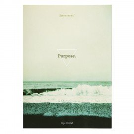 Тетрадь на кольцах БОЛЬШАЯ 210х305мм А4, 100л, обложка картон, клетка, BRAUBERG, Nature, 405411