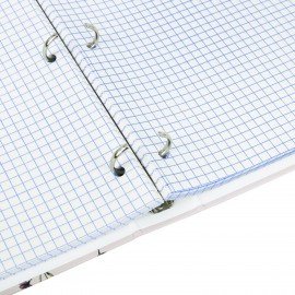 Тетрадь на кольцах БОЛЬШАЯ 210х305мм А4, 100л, обложка картон, клетка, BRAUBERG, Цветы, 405412