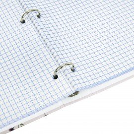 Тетрадь на кольцах БОЛЬШАЯ 210х305мм А4, 100л, обложка картон, клетка, BRAUBERG, Цветы, 405412