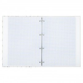 Тетрадь на кольцах БОЛЬШАЯ 210х305мм А4, 100л, обложка картон, клетка, BRAUBERG, Цветы, 405412