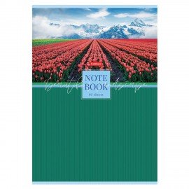 Тетрадь А4 80л. HATBER скоба, клетка, глянцевая ламинация, Живописные пейзажи (микс), 083006, 80Т4лВ1