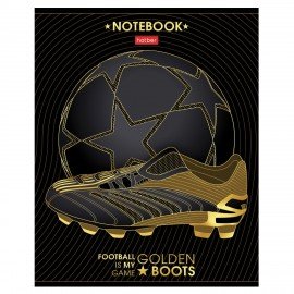 Тетрадь А5 48л. HATBER скоба, клетка, матовая ламинация, 3D фольга, Для мальчиков (микс), 087357, 48Т5лофВ1