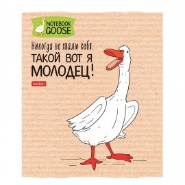 Тетрадь А5 48л. HATBER скоба, клетка, обложка картон, Гусь-веселюсь_Выпуск №2 (микс), 078789, 48Т5В1