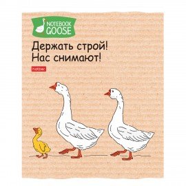 Тетрадь А5 48л. HATBER скоба, клетка, обложка картон, Гусь-веселюсь_Выпуск №2 (микс), 078789, 48Т5В1