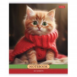 Тетрадь А5 48л. HATBER скоба, клетка, обложка картон, Котики-артисты (микс в спайке), 085664, 48Т5В1