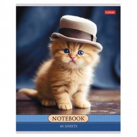 Тетрадь А5 48л. HATBER скоба, клетка, обложка картон, Котики-артисты (микс в спайке), 085664, 48Т5В1