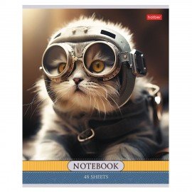 Тетрадь А5 48л. HATBER скоба, клетка, обложка картон, Котики-артисты (микс в спайке), 085664, 48Т5В1