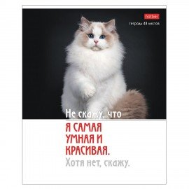 Тетрадь А5 48л. HATBER скоба, клетка, обложка картон, Котоюмор (микс в спайке), 079790, 48Т5В1