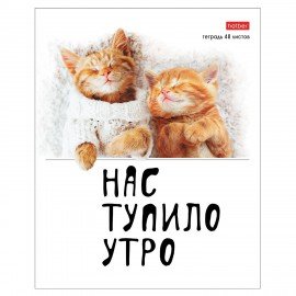 Тетрадь А5 48л. HATBER скоба, клетка, обложка картон, Котоюмор (микс в спайке), 079790, 48Т5В1