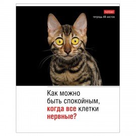 Тетрадь А5 48л. HATBER скоба, клетка, обложка картон, Котоюмор (микс в спайке), 079790, 48Т5В1