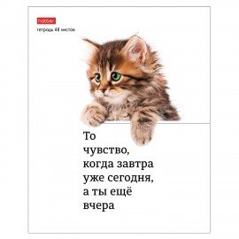 Тетрадь А5 48л. HATBER скоба, клетка, обложка картон, Котоюмор (микс в спайке), 079790, 48Т5В1