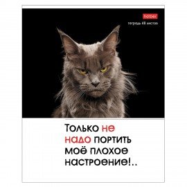 Тетрадь А5 48л. HATBER скоба, клетка, обложка картон, Котоюмор (микс в спайке), 079790, 48Т5В1