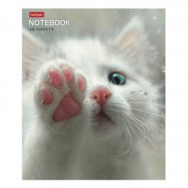 Тетрадь А5 48л. HATBER скоба, клетка, обложка картон, Розовые лапки (микс в спайке), 090370, 48Т5В1