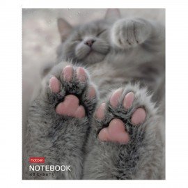 Тетрадь А5 48л. HATBER скоба, клетка, обложка картон, Розовые лапки (микс в спайке), 090370, 48Т5В1