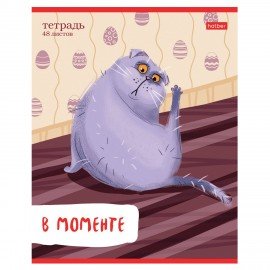 Тетрадь А5 48л. HATBER скоба, линия, обложка картон, Кот-обормот (микс в спайке), 080206, 48Т5В2