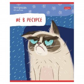 Тетрадь А5 48л. HATBER скоба, линия, обложка картон, Кот-обормот (микс в спайке), 080206, 48Т5В2