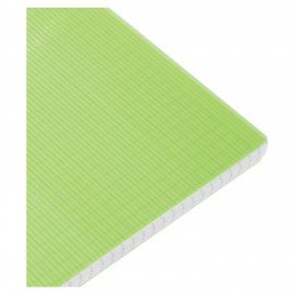 Тетрадь обложка пластик, А4 80л. гребень, клетка, HATBER, LINE NEON Зеленая, 081542, 80Т4В1гр_03034