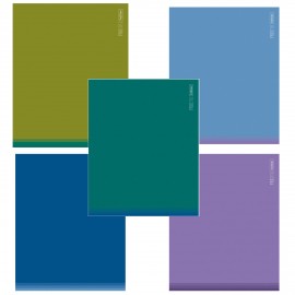 Тетрадь обложка пластик, А5 96л. скоба, клетка, HATBER, PROстиль (микс в спайке), 090232, 96Т5В1пл