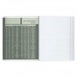 Тетрадь предметная MonoPastel 48л, пластиковая обложка, АНГЛИЙСКИЙ ЯЗЫК, клетка, подсказ, BRAUBERG, 405503