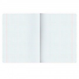 РЕЗЕРВ Тетрадь предметная MonoPastel 48л, пластиковая обложка, БИОЛОГИЯ, клетка, подсказ, BRAUBERG, 405504